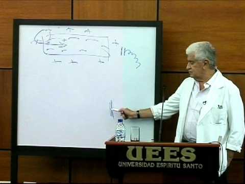 Alfredo Palacio González